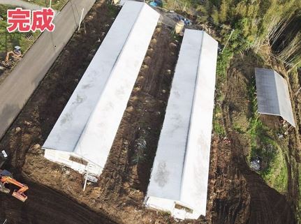 鶏舎周り伐採完成